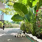 Pensionat Green Villa