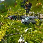 Pensionat Green Villa