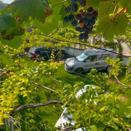 בית הארחה Green Villa