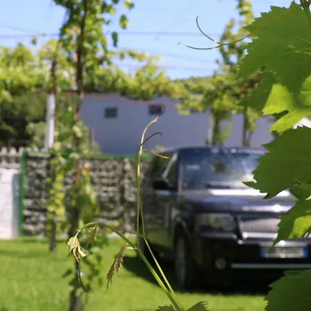 Green Villa