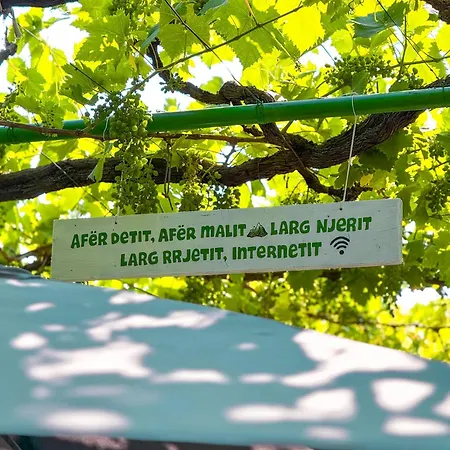 Green Villa *