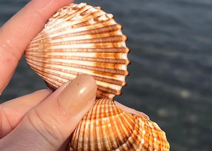 Green Villa Maison d'hôtes *