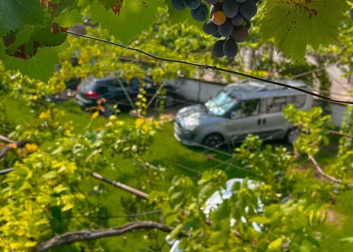 Maison d'hôtes Green Villa