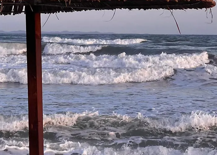 Maison d'hôtes Green Villa *