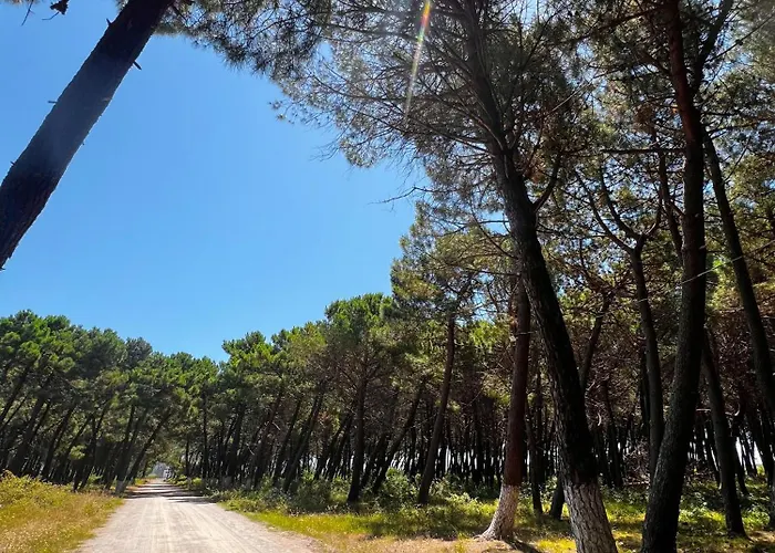 Green Villa Maison d'hôtes *