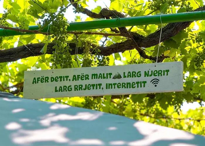 Green Villa *
