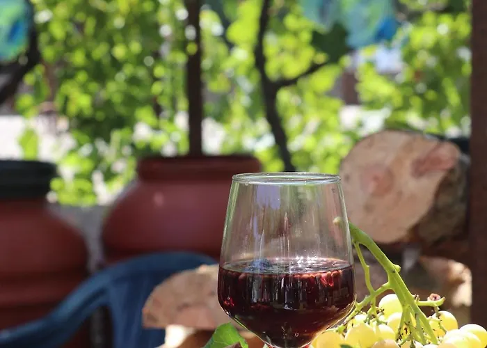 Green Villa Maison d'hôtes *