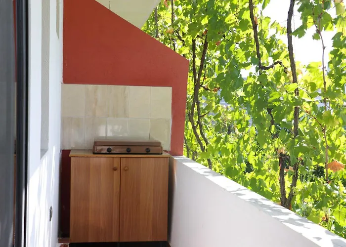 Maison d'hôtes Green Villa